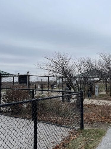 Tinley Park Park District Canine Campus (membership required)