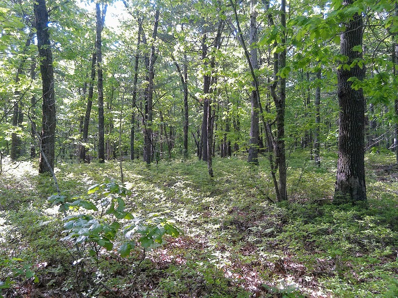 Crandall Park - Tolland, CT