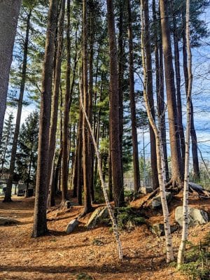 Crandall Park