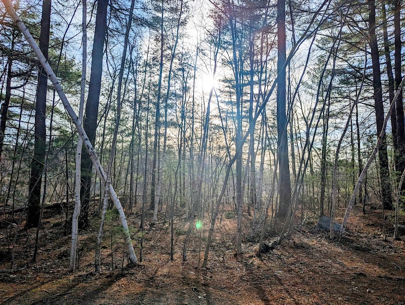 Crandall Park - Tolland, CT