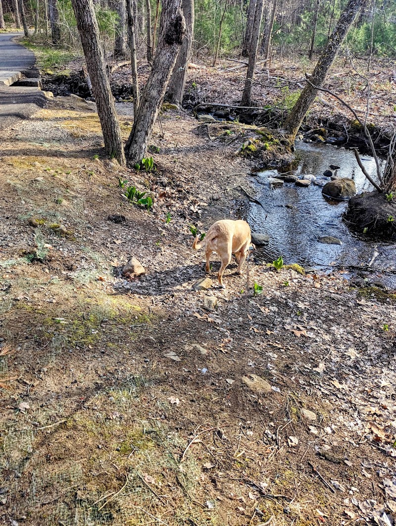 Crandall Park - Tolland, CT