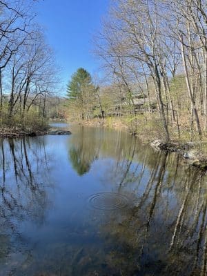 Crandall Park