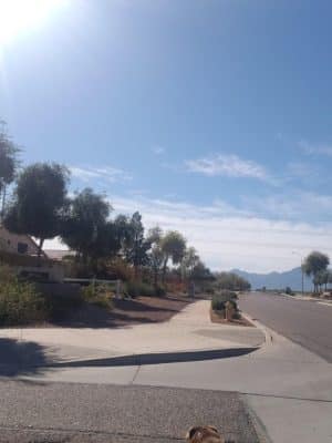 Country Place Tivoli HOA Nature Walk Trail