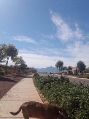 Country Place Tivoli HOA Nature Walk Trail