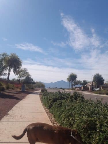 Country Place Tivoli HOA Nature Walk Trail
