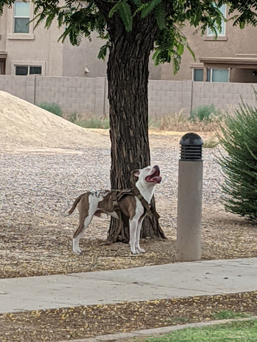 Tolleson Veterans Park
