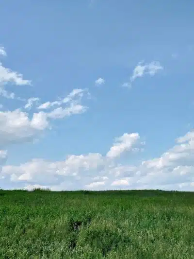 Topsham Ponds Trails - Topsham, ME