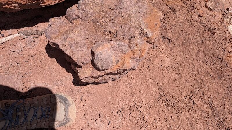 Torrey GWT Trailhead - Torrey, UT