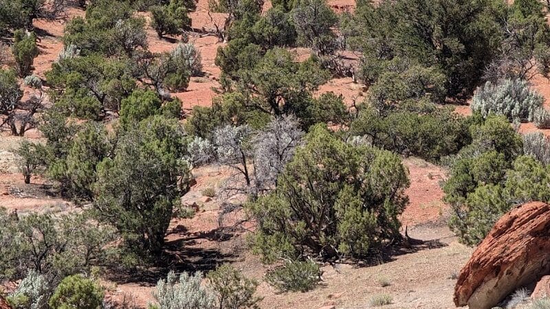 Torrey GWT Trailhead - Torrey, UT