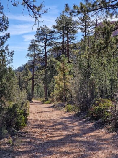 Tropic Trail Trailhead - Tropic, UT