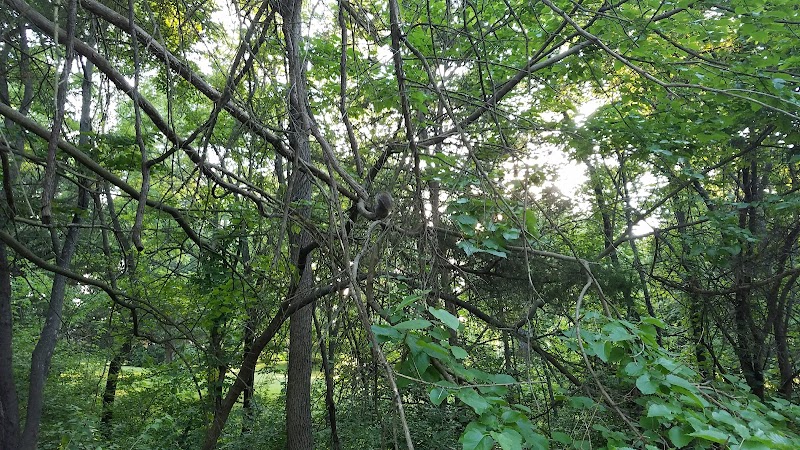 Avery Park - Troy, MO
