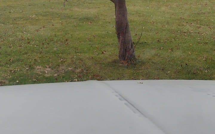Weinand Park - Troy, MO