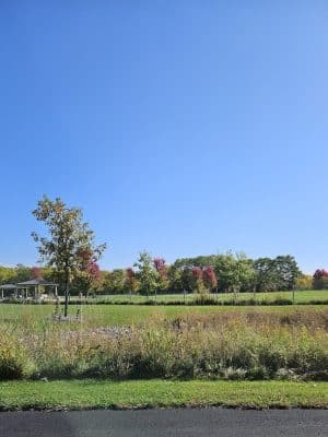 Lower Rock Run Dog Park