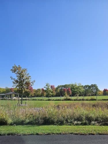 Lower Rock Run Dog Park