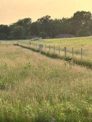 Lower Rock Run Dog Park