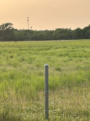 Lower Rock Run Dog Park