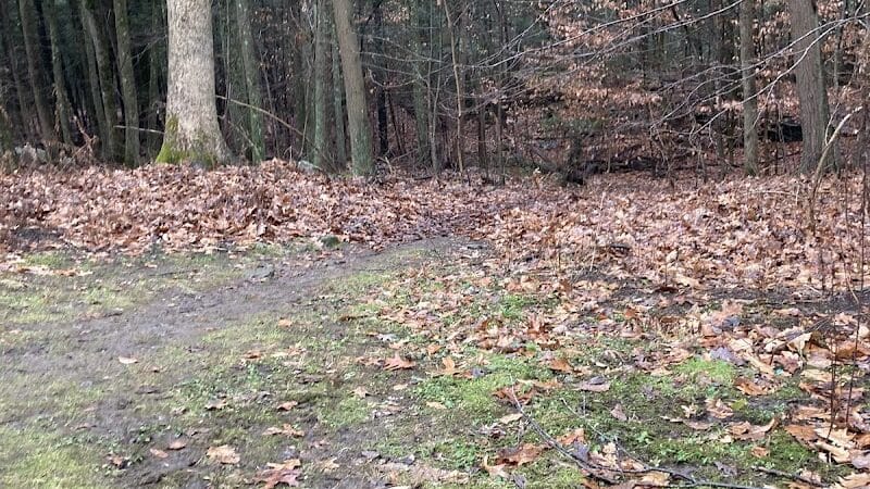 Indian Ledge Park - Trumbull, CT