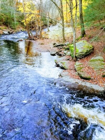 Pequonnock Valley Wildlife Management Area - Trumbull, CT