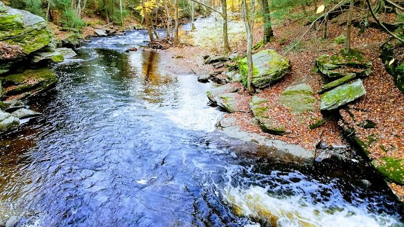 Pequonnock Valley Wildlife Management Area - Trumbull, CT