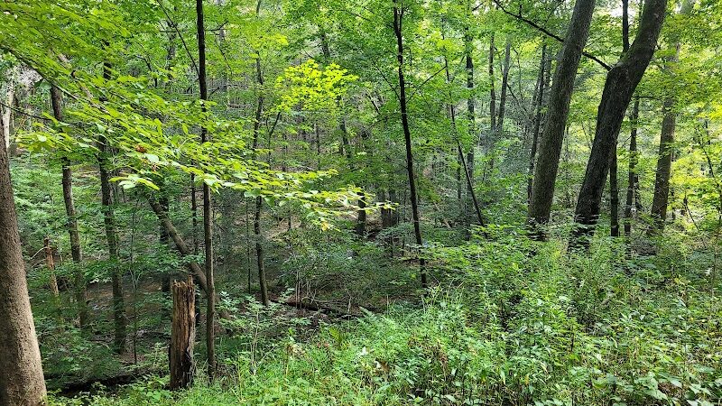 Pequonnock Valley Wildlife Management Area - Trumbull, CT