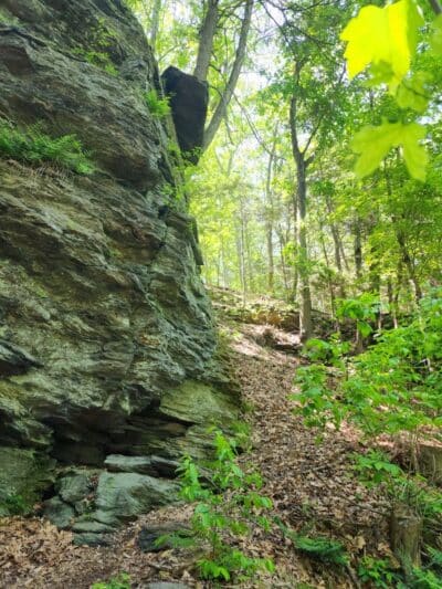 Pequonnock Valley Wildlife Management Area - Trumbull, CT