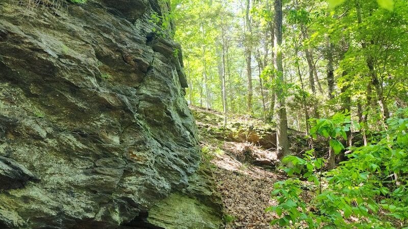 Pequonnock Valley Wildlife Management Area - Trumbull, CT