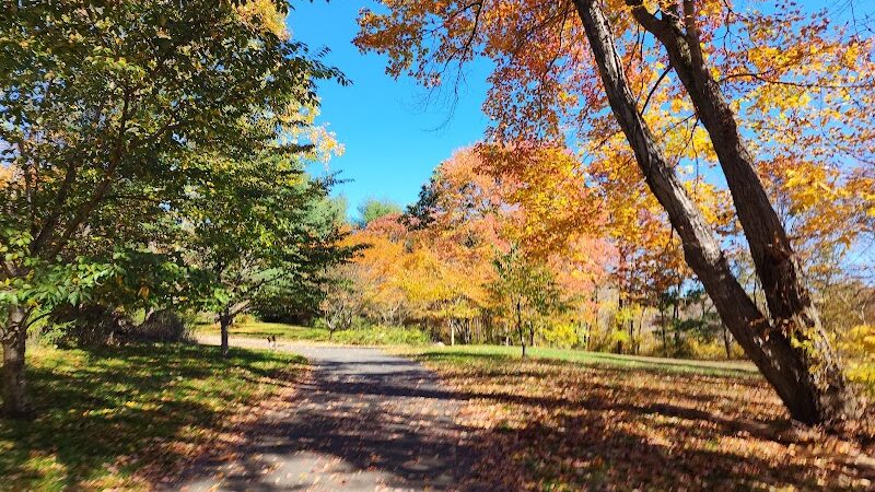 Twin Brooks Park - Trumbull, CT