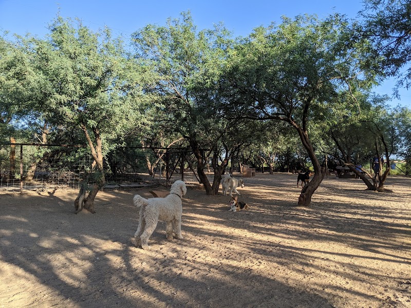 Smiling Dog Ranch Dog Park - Tucson, AZ