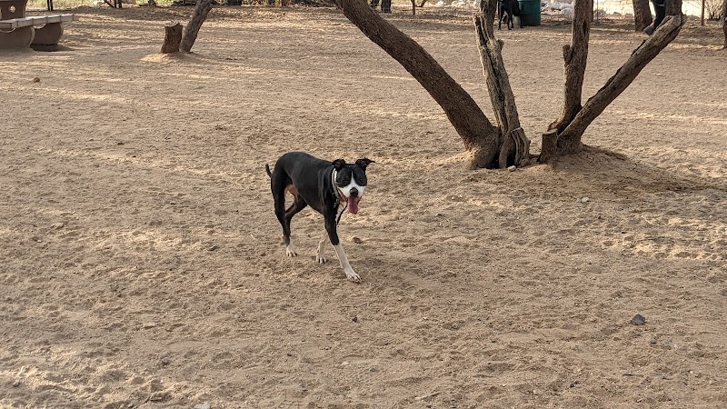 Smiling Dog Ranch Dog Park - Tucson, AZ