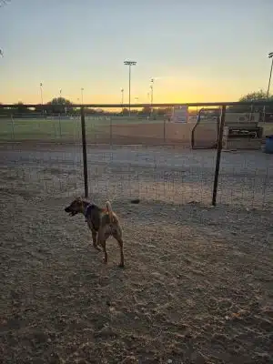 Smiling Dog Ranch Dog Park