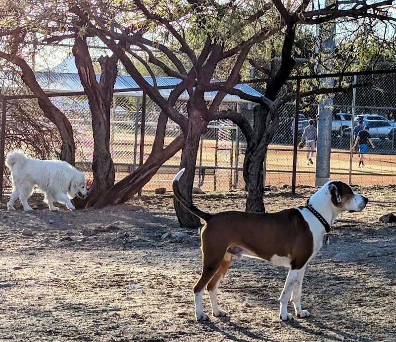 Smiling Dog Ranch Dog Park - Tucson, AZ
