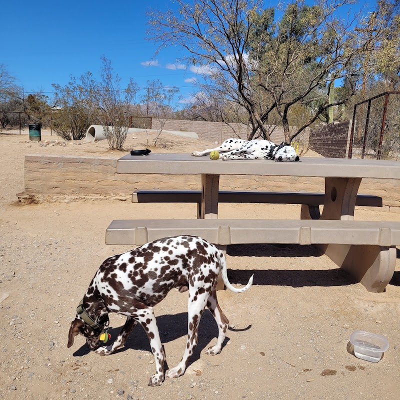 Smiling Dog Ranch Dog Park - Tucson, AZ