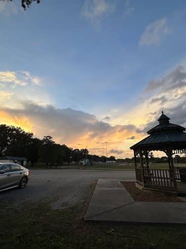 Pet Village Bark Park