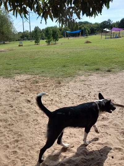 Biscuit Acres Dog Park - Tulsa, OK