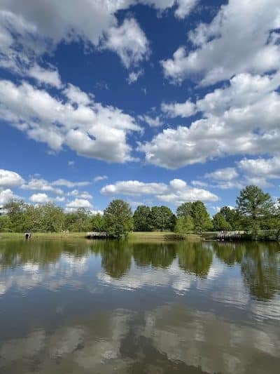 Biscuit Acres Dog Park - Tulsa, OK