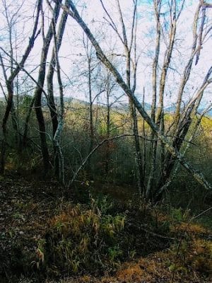 Brush Creek Trailhead