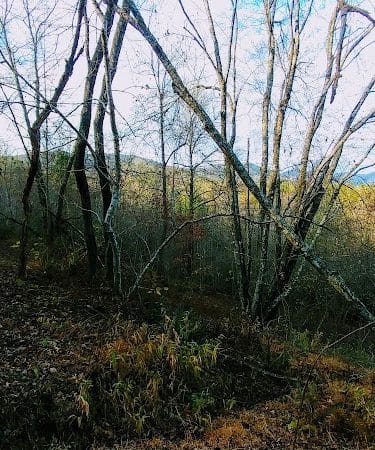 Brush Creek Trailhead