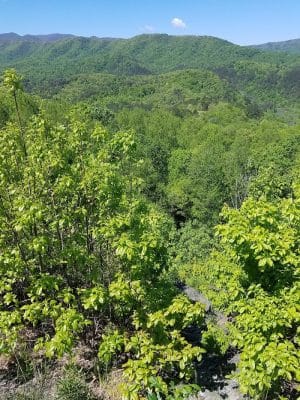 Brush Creek Trailhead