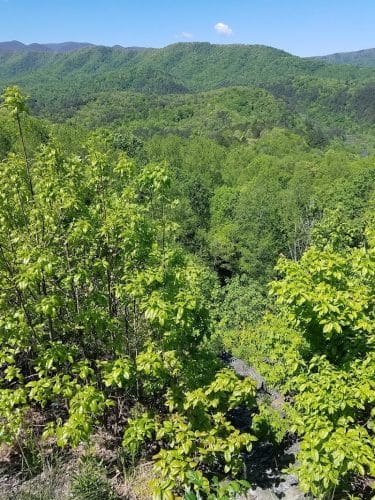 Brush Creek Trailhead