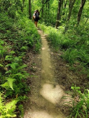 Brush Creek Trailhead