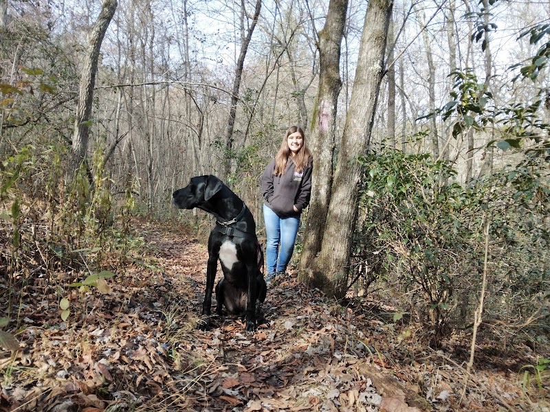 Brush Creek Trailhead - Turtletown, TN
