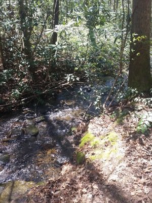 Rock Creek Trailhead
