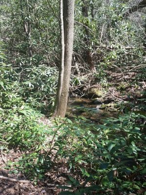 Rock Creek Trailhead