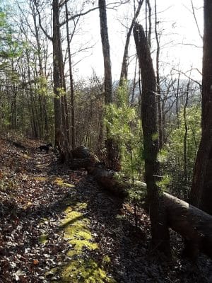 Rock Creek Trailhead