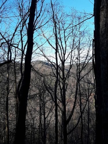 Rock Creek Trailhead