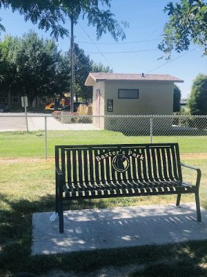 Dog Park
