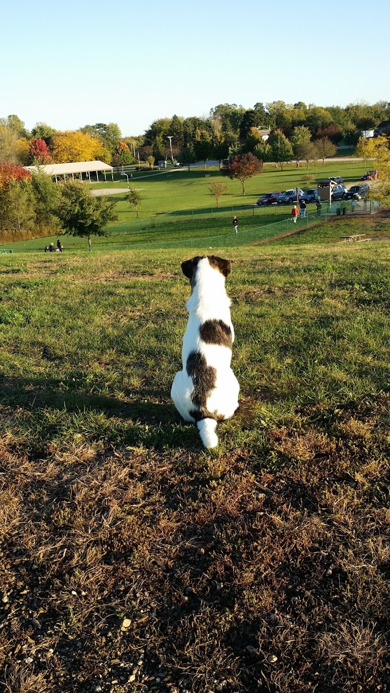 Warren Close Bark Park - Twin Lakes, WI