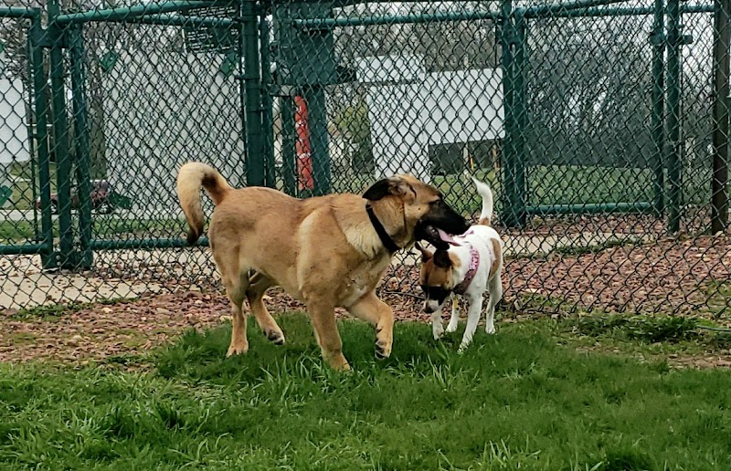 Warren Close Bark Park - Twin Lakes, WI