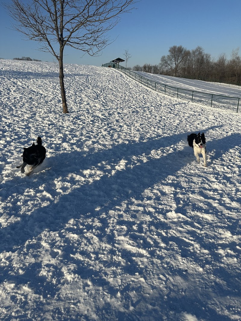 Warren Close Bark Park - Twin Lakes, WI