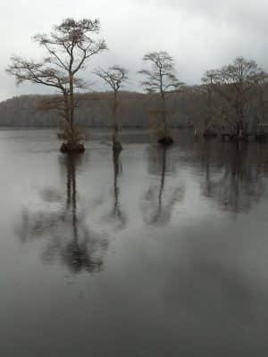 J. Robert Hendrix Park - Tyner, NC